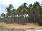 Chatarra Beach - LOÍZA